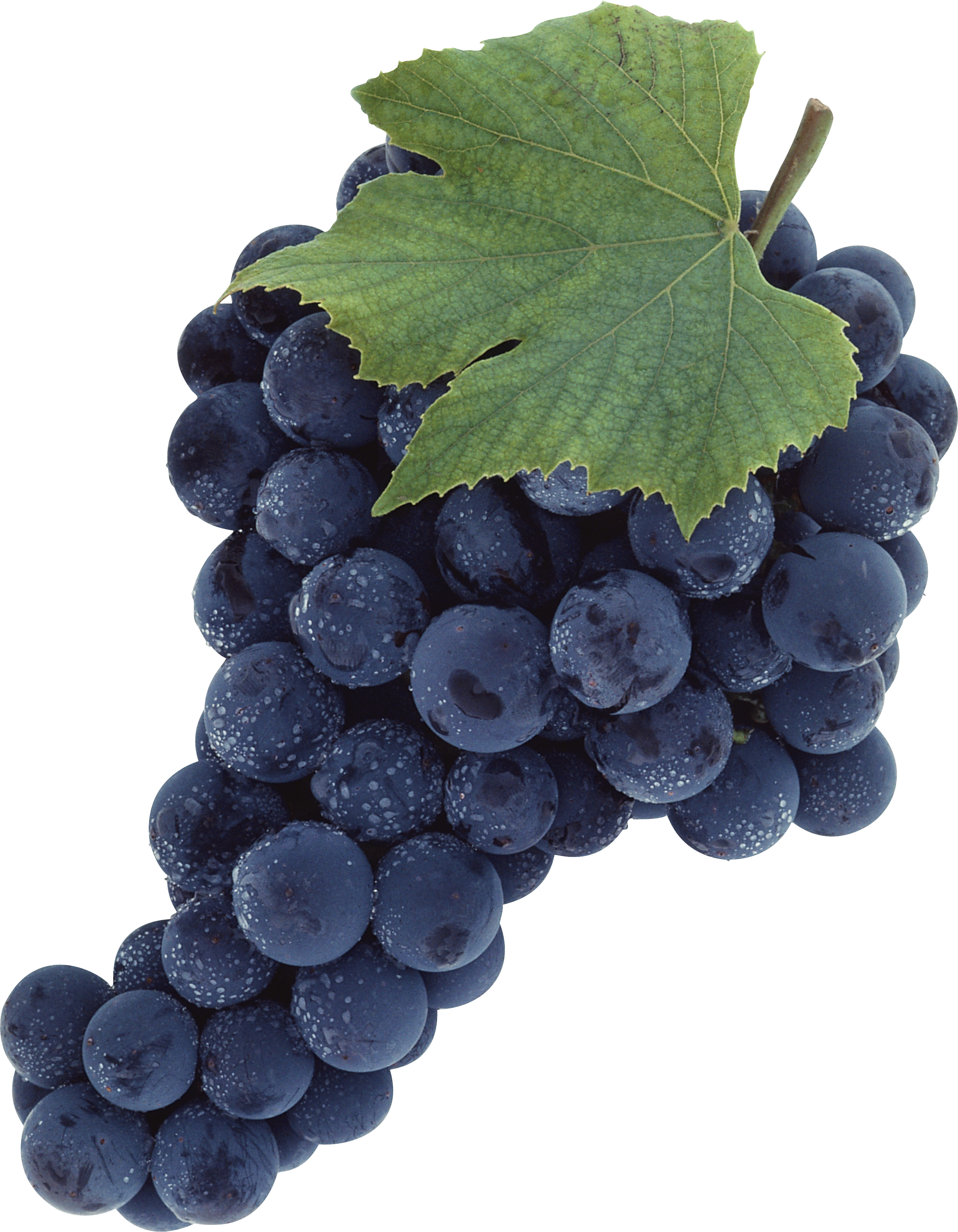 Grape PNG image