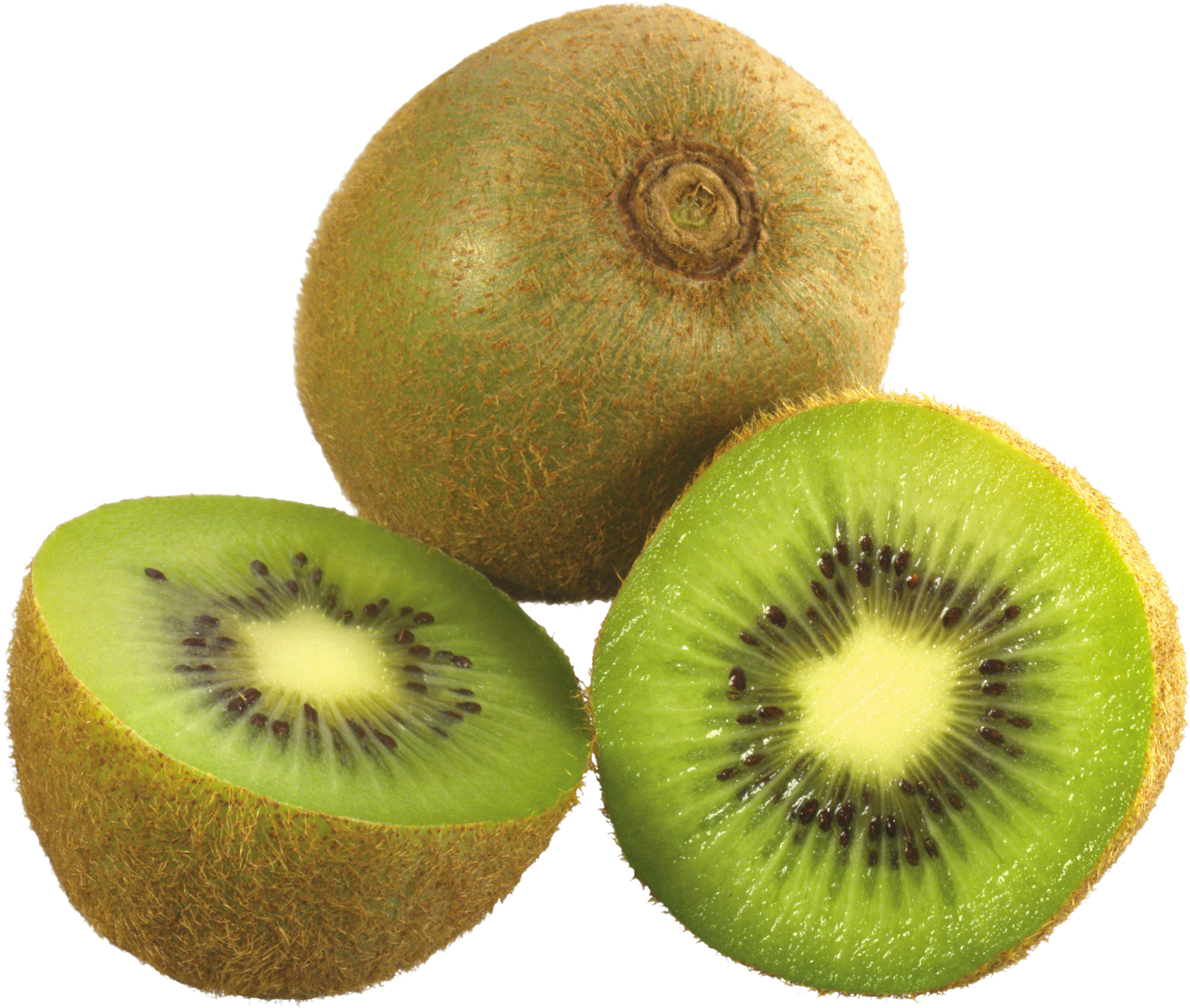 Kiwi free Kiwi free